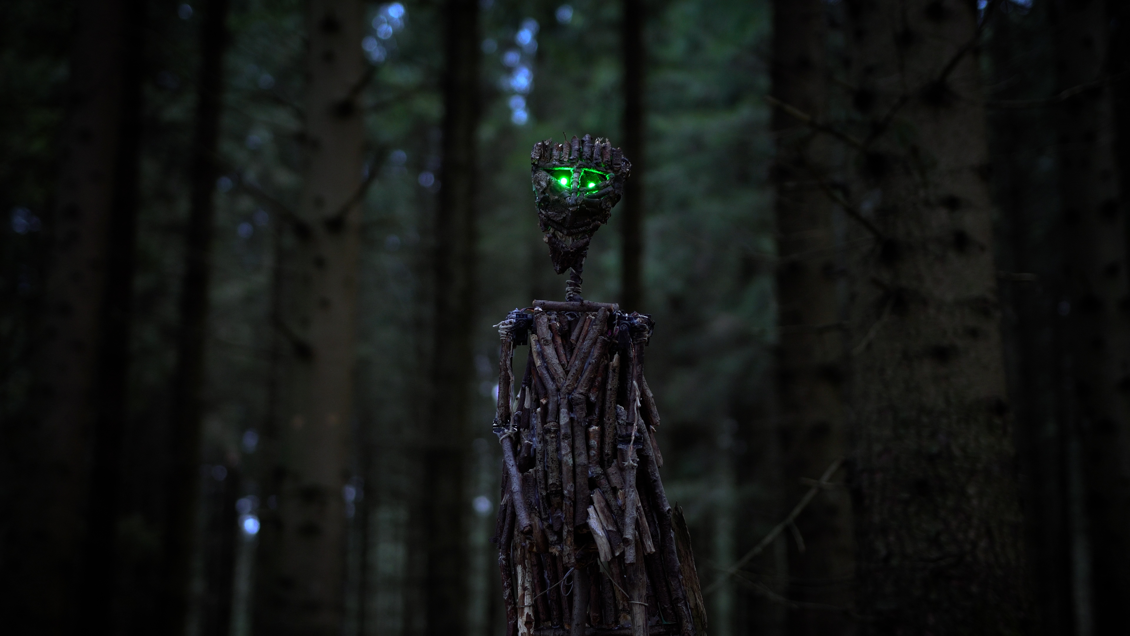 Otto Woodman im Wald